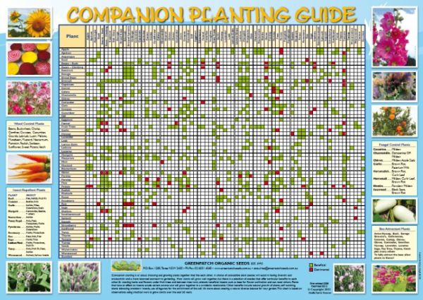 Greenpatch Companion Planting Chart